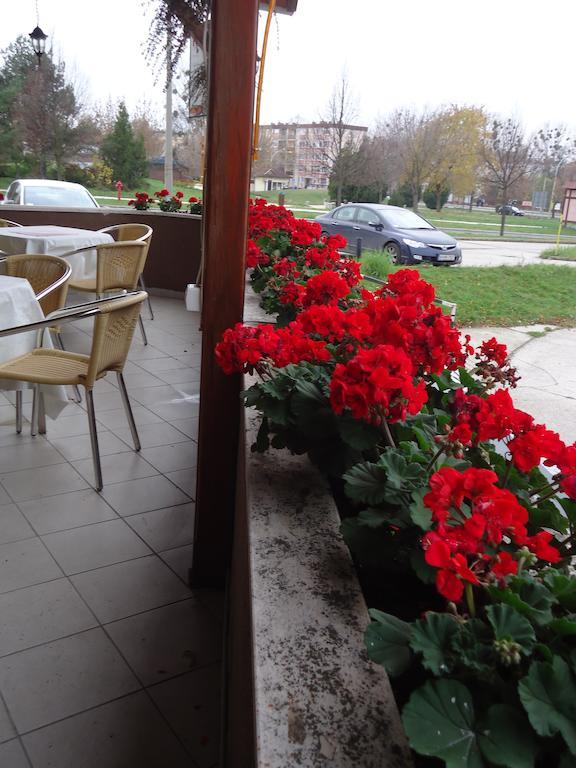 Czermann Panzio Es Etterem Hotel Oroszlany Bagian luar foto